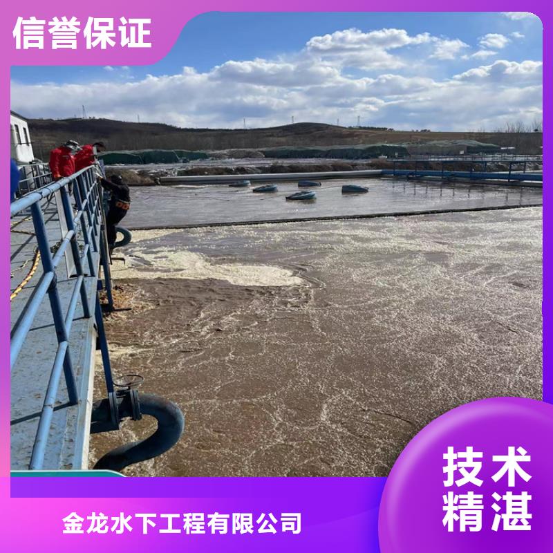 【 水下作業9月2日,水下檢測公司好評度高】-金龍水下工程(資陽市分公司)