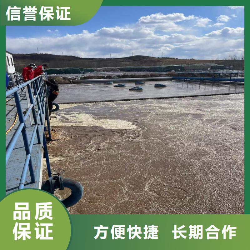 闸门水下检修视频-广西省贺州市|昭平|八步|梧州|来宾|南宁|百色|崇左|防城港|桂林闸门水下检修-金龙