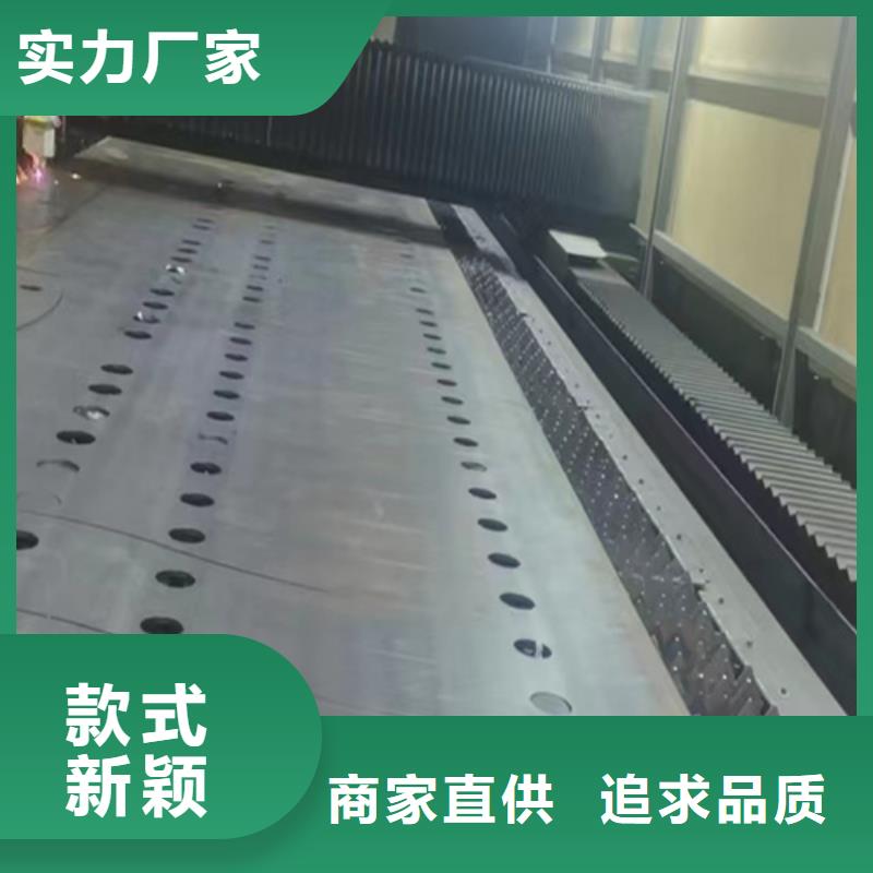 Q355B噴塑護欄型號齊全