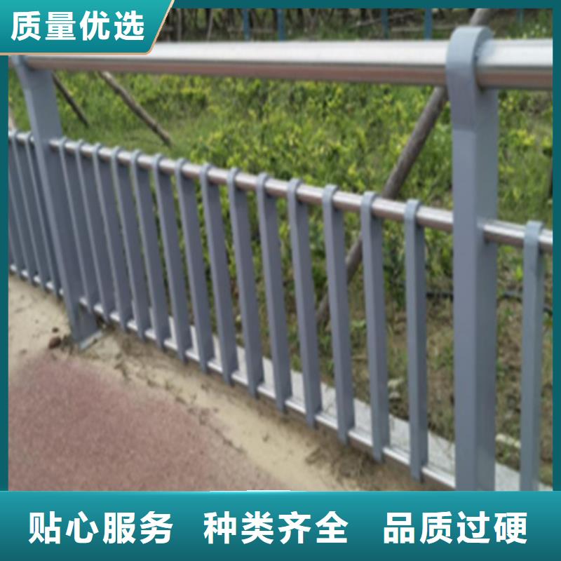 2025貨到付款#水庫護欄防護#生產廠家