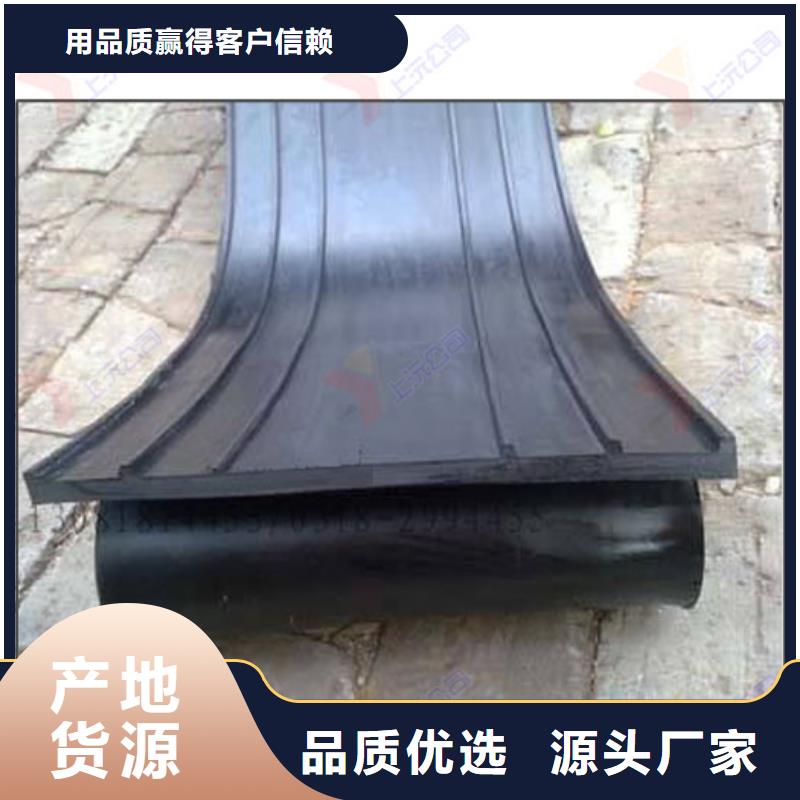 【橡膠止水帶網架支座服務周到】