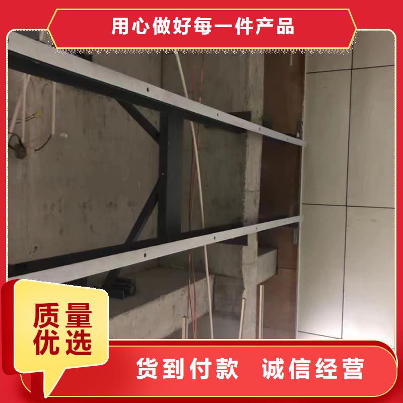 厂家主打产品单开平移铅门欢迎询价