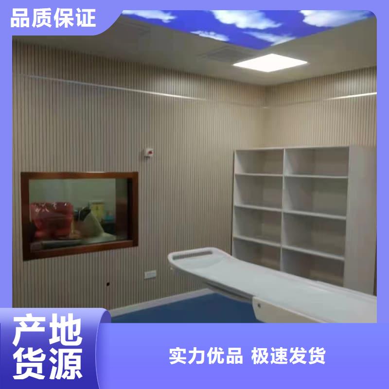 厂家主打产品单开平移铅门欢迎询价