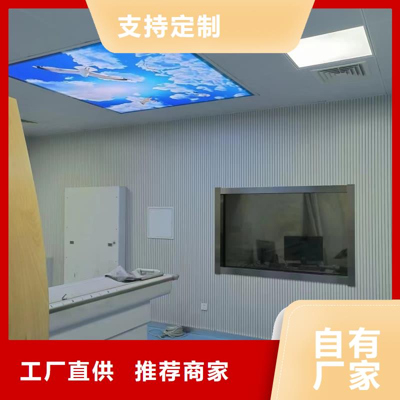 单开平移铅门-自主研发