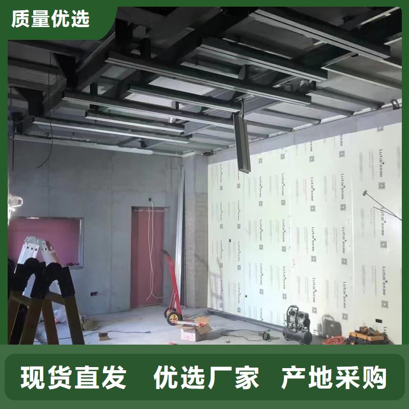 电动防护铅门-全国接单