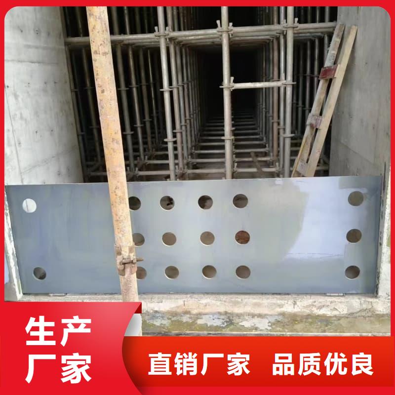 电动防护铅门-全国接单