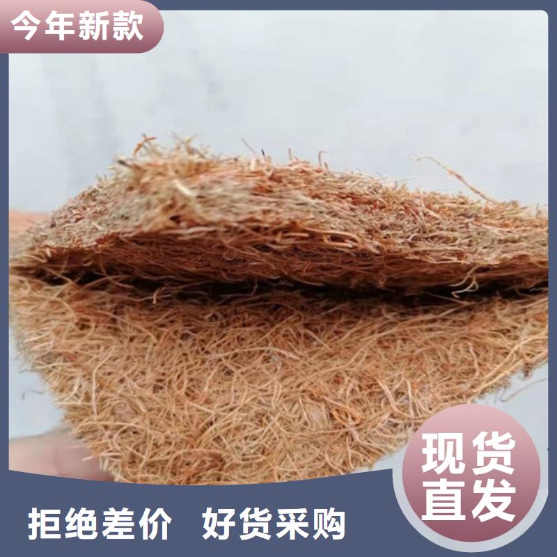 沥青木板-凸结点钢塑土工格栅源头厂家直销