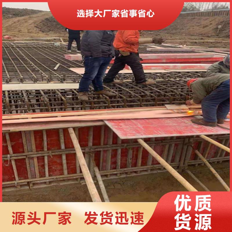 銅排銅片凸結(jié)點(diǎn)鋼塑土工格柵質(zhì)量優(yōu)價(jià)格低