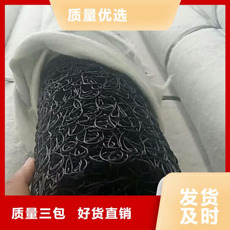 【盲溝盲管】-單向塑料土工格柵常年出售