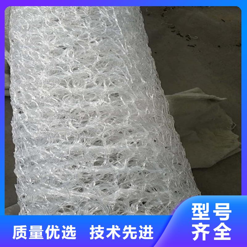 盲溝盲管_三維土工網墊廠家直營