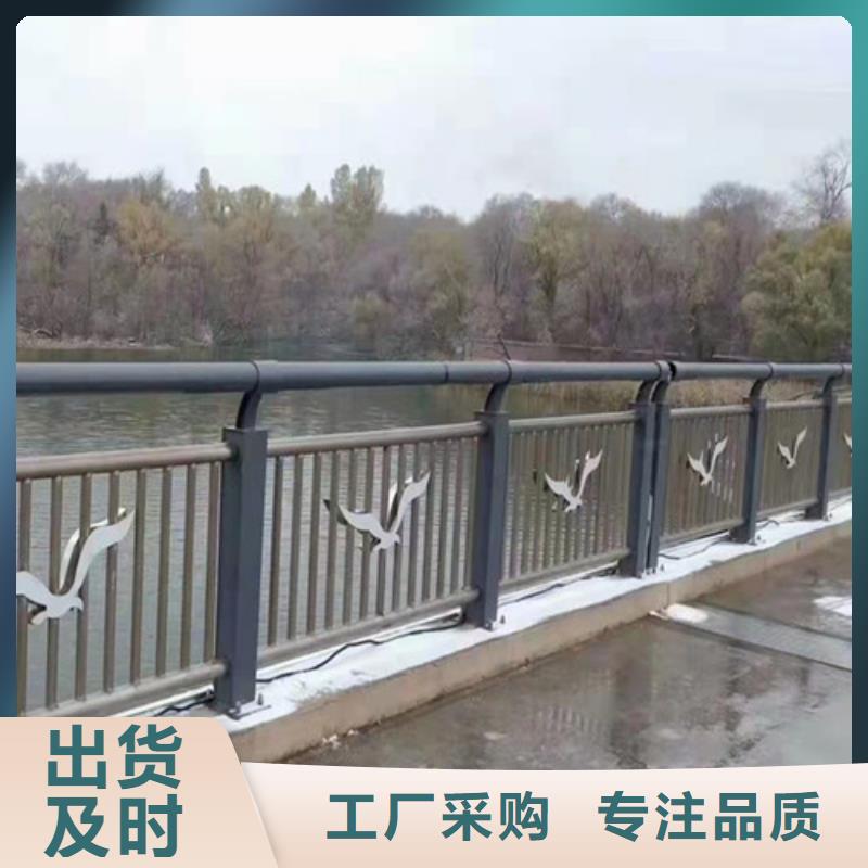 道路燈光護欄供應