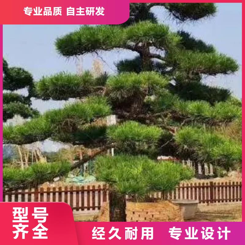 造型松奇石厂家定制