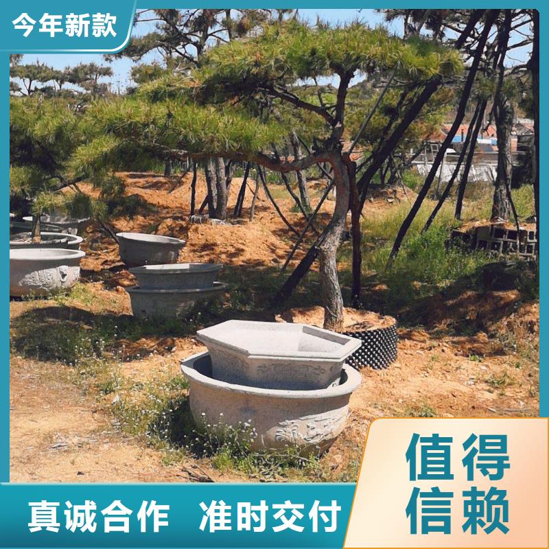造型松造型松價格重信譽廠家