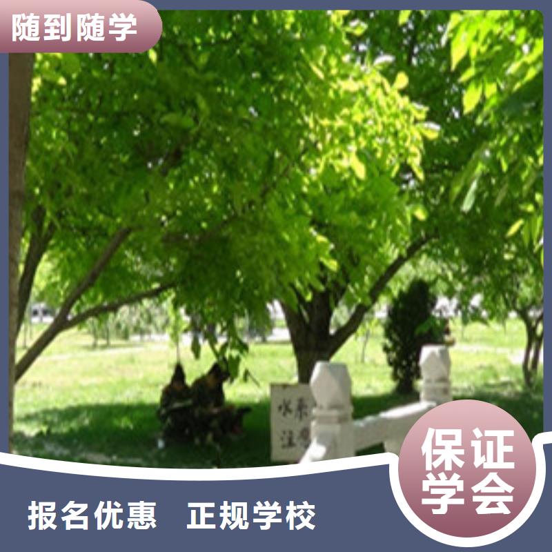  单招培训免费试学