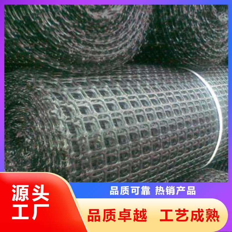 矿用钢塑复合假顶网供应商|矿用钢塑复合假顶网规格齐全