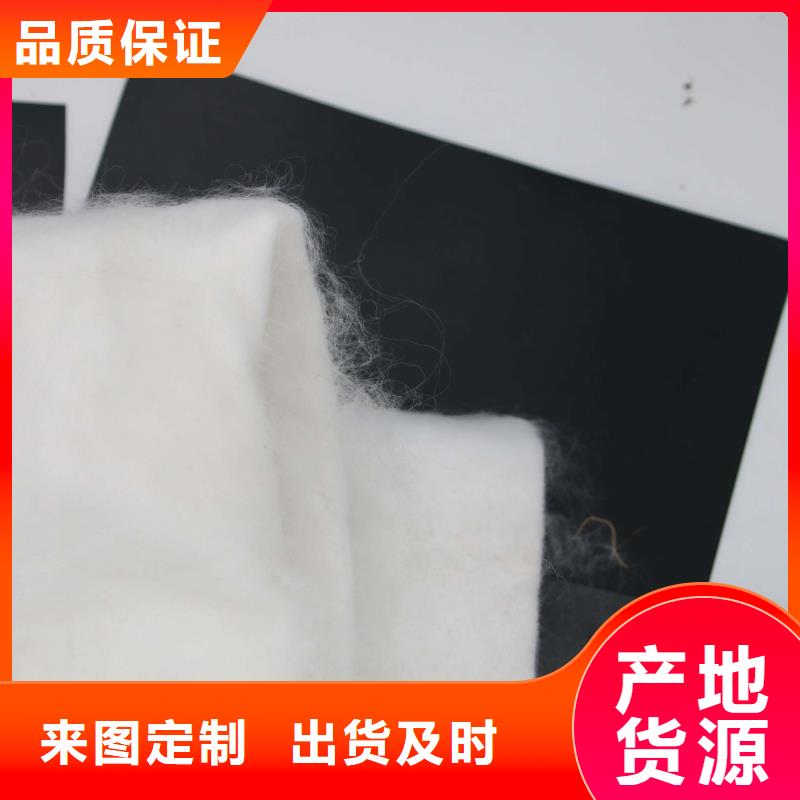 土工膜-土工布-土工膜廠家-價格-批發(fā)供應商