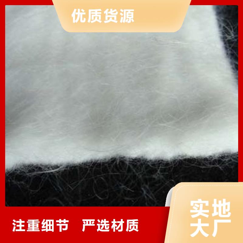 土工膜-土工布-土工膜廠家-價格-批發(fā)供應商