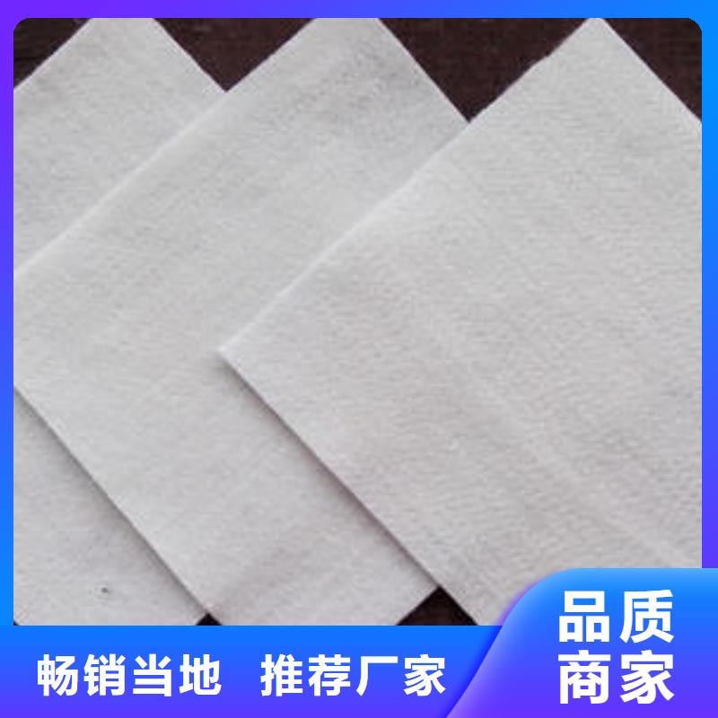 長絲土工布_土工布價格_土工布_復合土工膜廠家