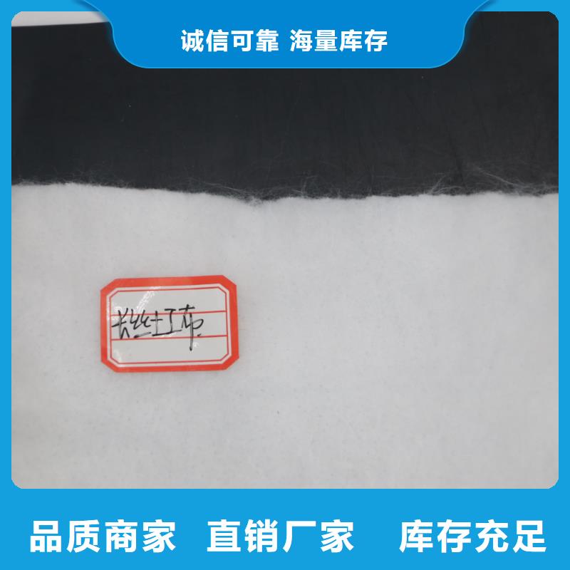 工程防水聚酯長絲布新國標聚酯長絲土工布廠家直銷滌綸長絲布