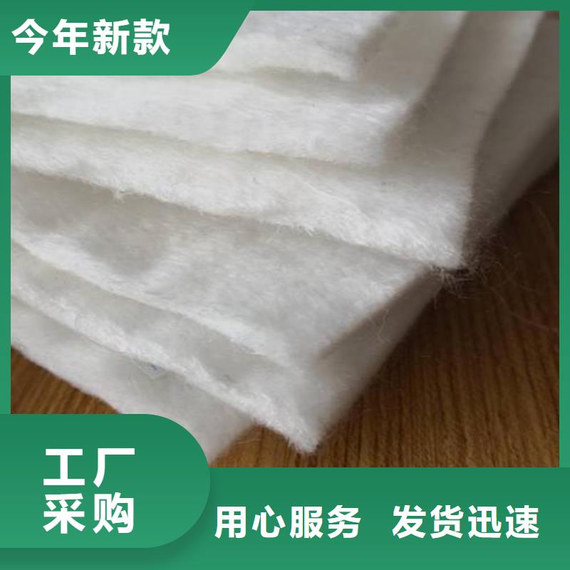 工程防水聚酯長絲布新國標聚酯長絲土工布廠家直銷滌綸長絲布