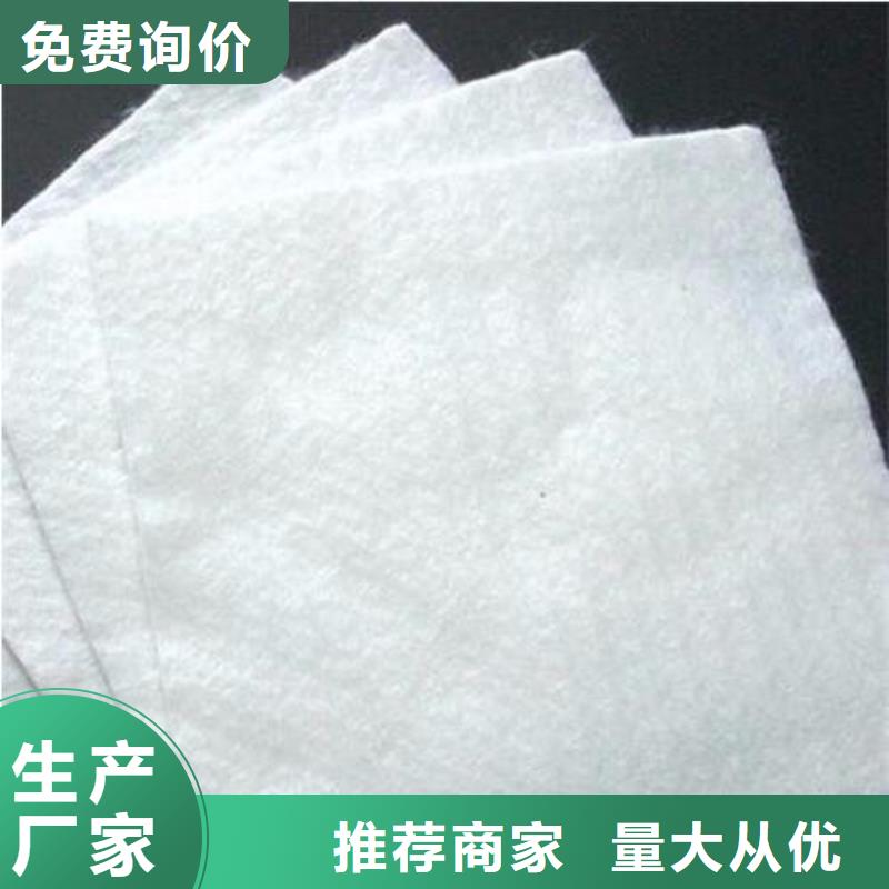 土工布滌綸土工格柵源頭工廠