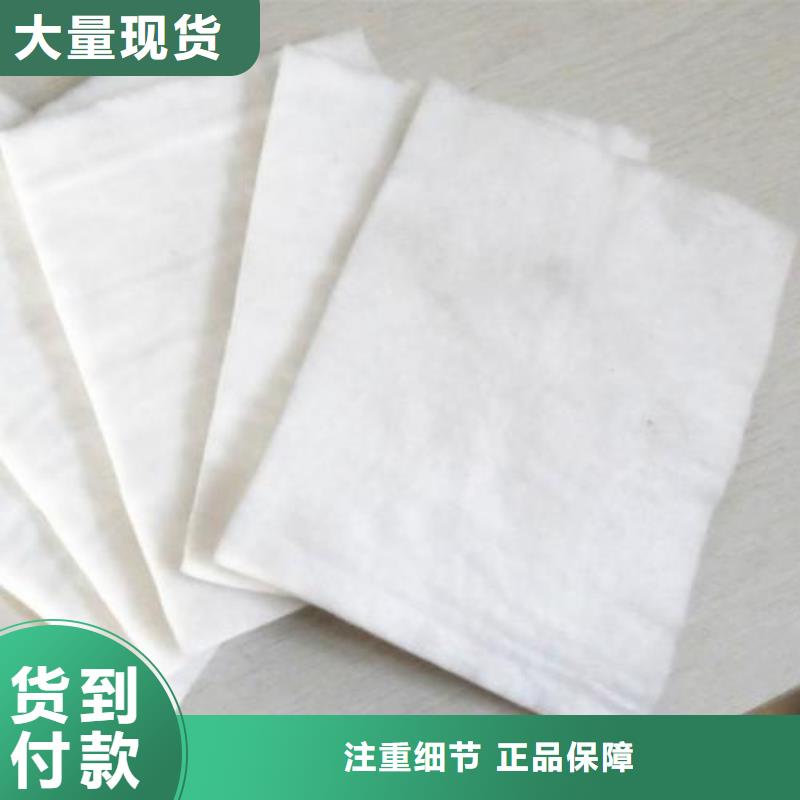 長絲土工布_土工布價格_土工布_復合土工膜廠家