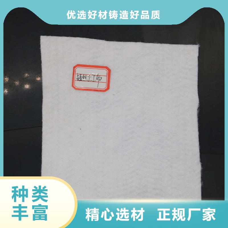 土工布_土工膜價(jià)格_復(fù)合土工膜_長絲土工布廠家