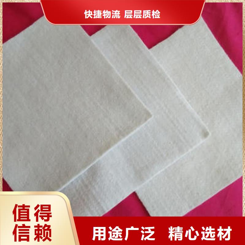 土工布防滲土工膜品牌大廠(chǎng)家