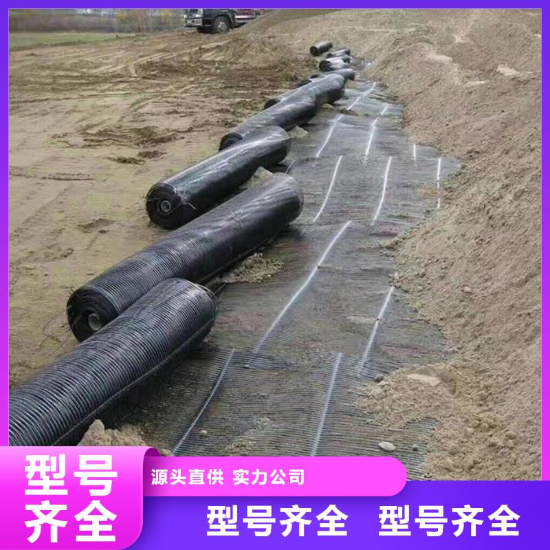 單向塑料土工格柵【土工濾網】多種款式可隨心選擇