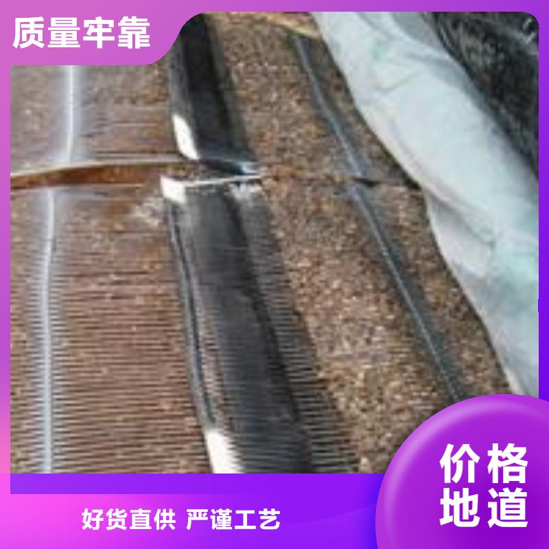 單向塑料土工格柵【土工濾網】多種款式可隨心選擇