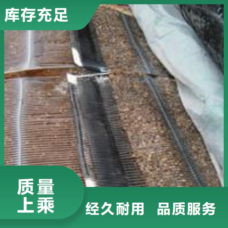 單向塑料土工格柵復合土工膜廠家定制