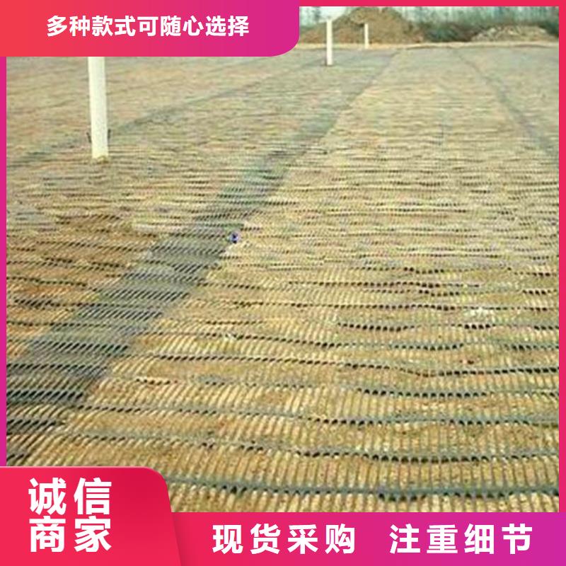 单向塑料土工格栅【HDPE土工膜】质量优价格低