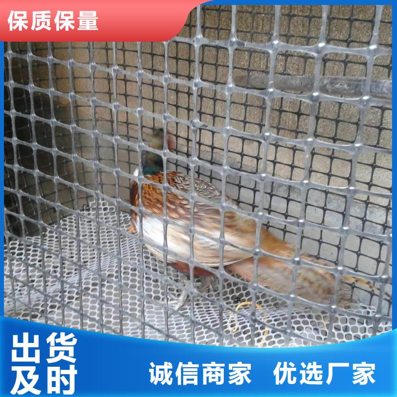 雙向塑料土工格柵_膨潤土防水毯快速生產