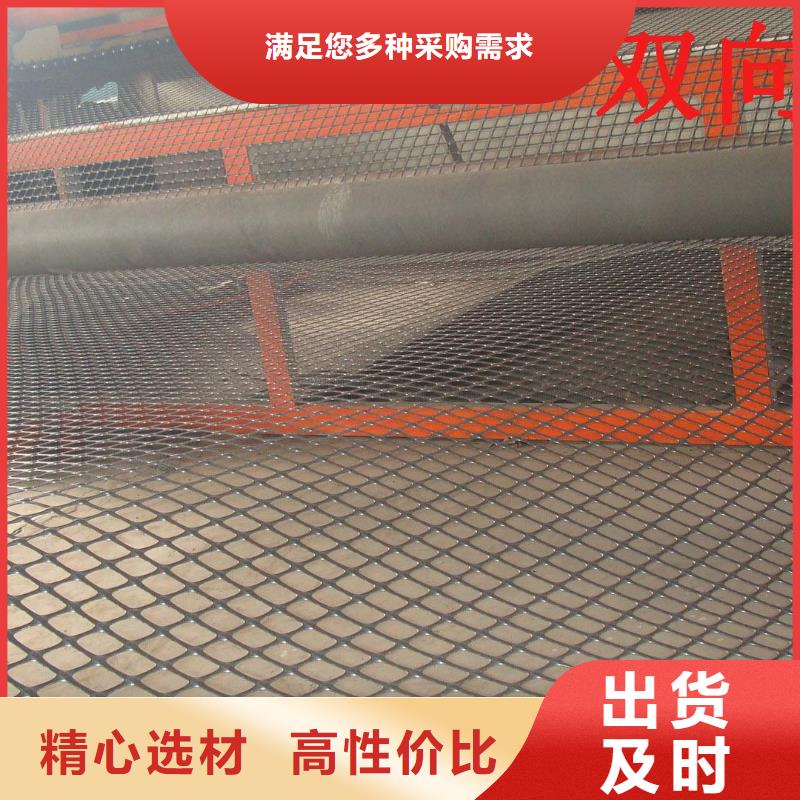 【双向塑料土工格栅,HDPE土工膜专业生产厂家】