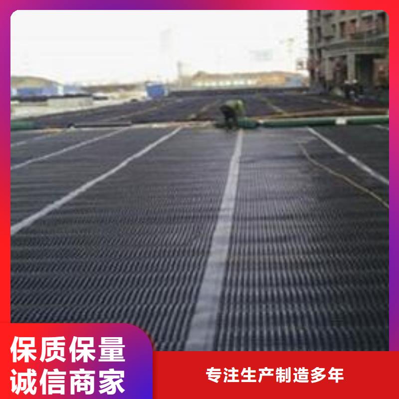 雙向聚丙烯土工格柵_(tái)批發(fā)價(jià)格采購(gòu)_雙向聚丙烯土工格柵塑料格柵單向拉伸路基加筋養(yǎng)殖網(wǎng)圍欄塑料土工格柵