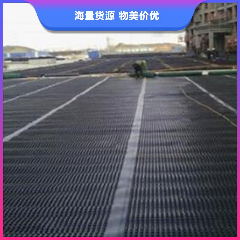 双向塑料土工格栅防渗土工膜定制速度快工期短
