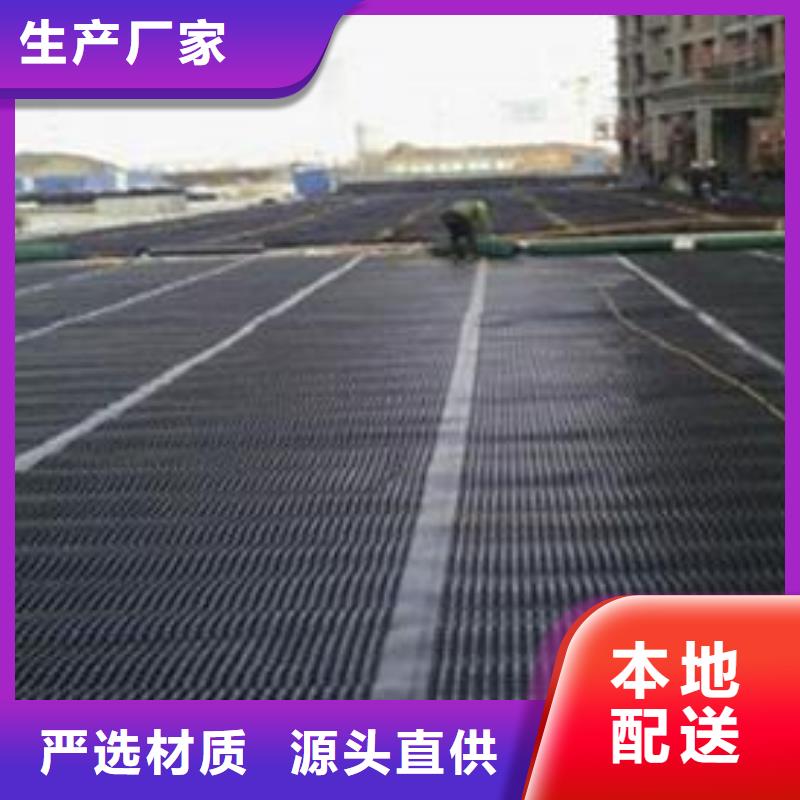 煤礦井下塑料網(wǎng)片抗阻燃雙向塑料格柵塑料格柵單向拉伸路基加筋養(yǎng)殖網(wǎng)圍欄塑料土工格柵