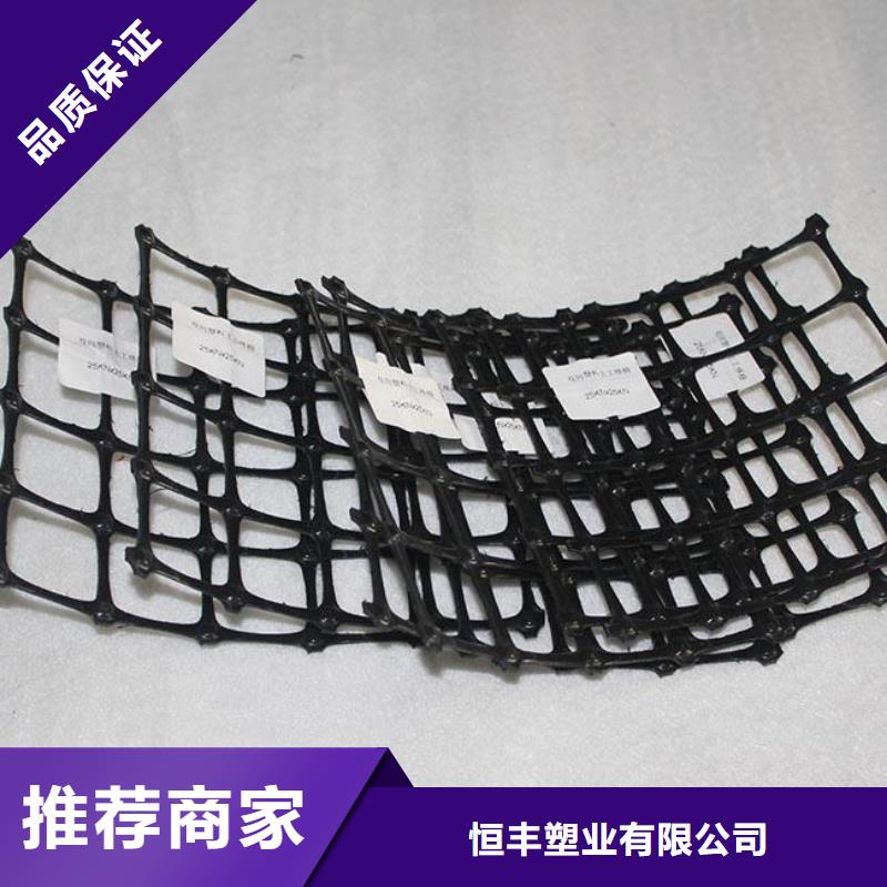 供應塑料格柵塑料土工格柵路基加固用
