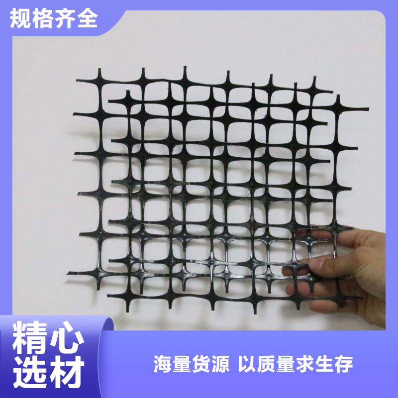 雙向塑料土工格柵保溫土工布好品質(zhì)選我們