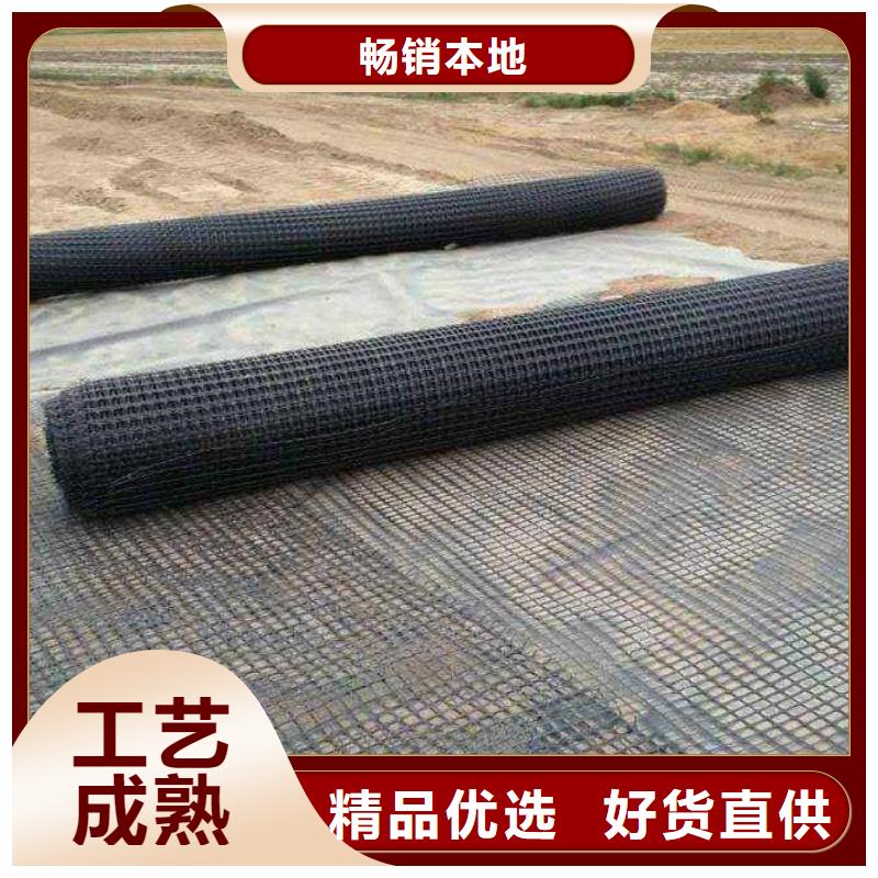 供應塑料格柵塑料土工格柵路基加固用