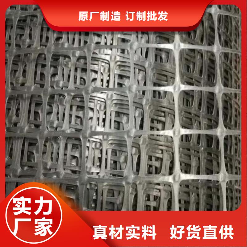 雙向塑料土工格柵保溫土工布好品質選我們