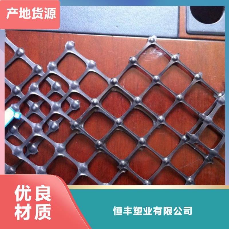 雙向拉伸塑料土工格柵執(zhí)行GB/T17689-2008標(biāo)準(zhǔn)塑料格柵單向拉伸路基加筋養(yǎng)殖網(wǎng)圍欄塑料土工格柵