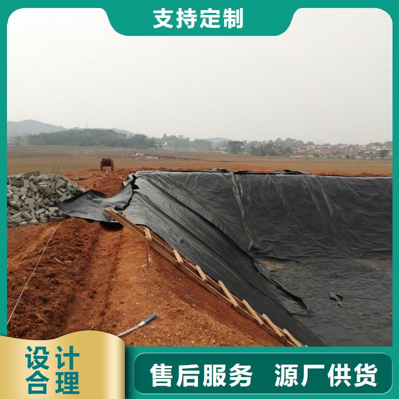 土工膜-PVC防水卷材廠家貨源