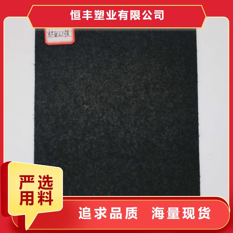 恒丰短丝土工布土工膜 【PP焊接土工格栅】质优价保勺子互联