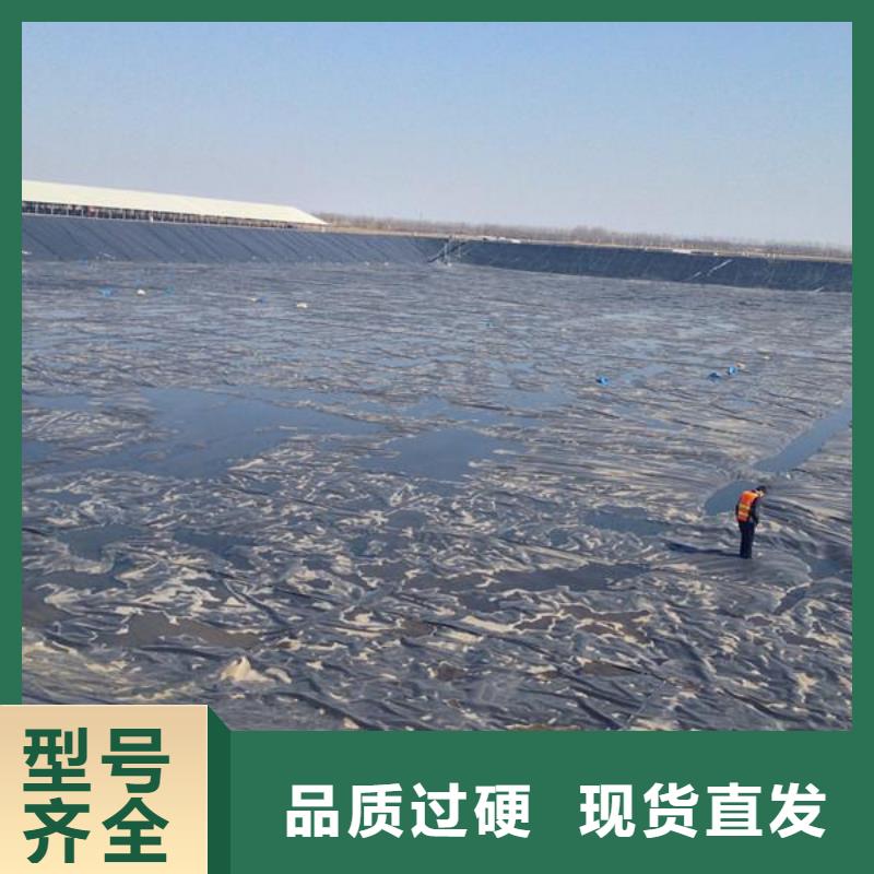 【土工膜PP焊接土工格栅同行低价】