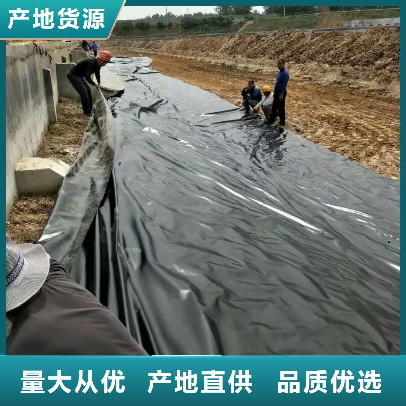土工膜-土工布-土工袋廠家