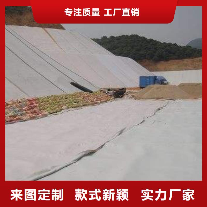 尋復合土工膜_規格齊全_現貨銷售