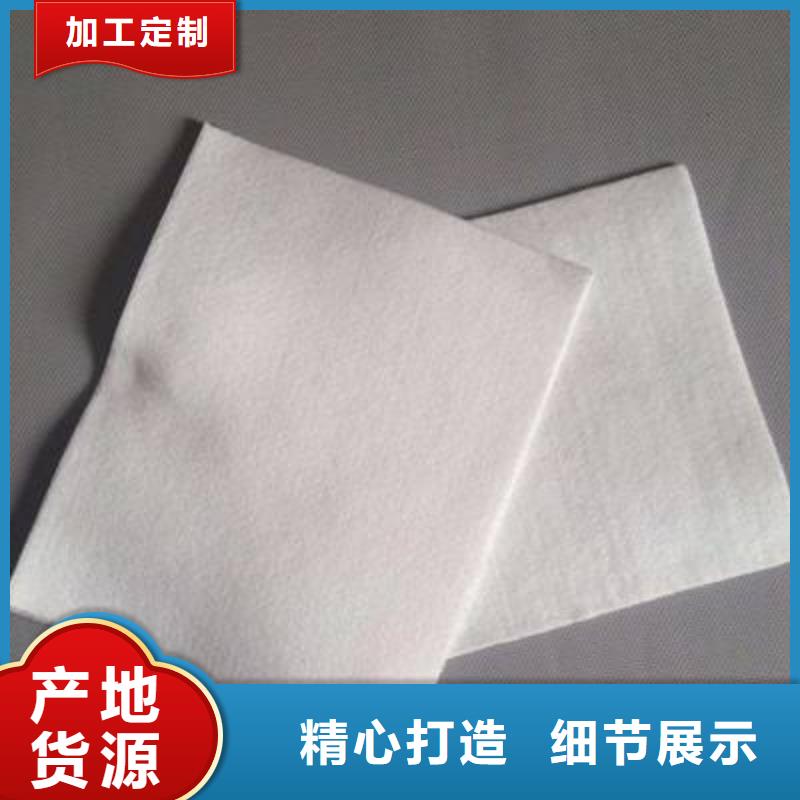 復合土工膜鋼塑土工格柵精選廠家好貨