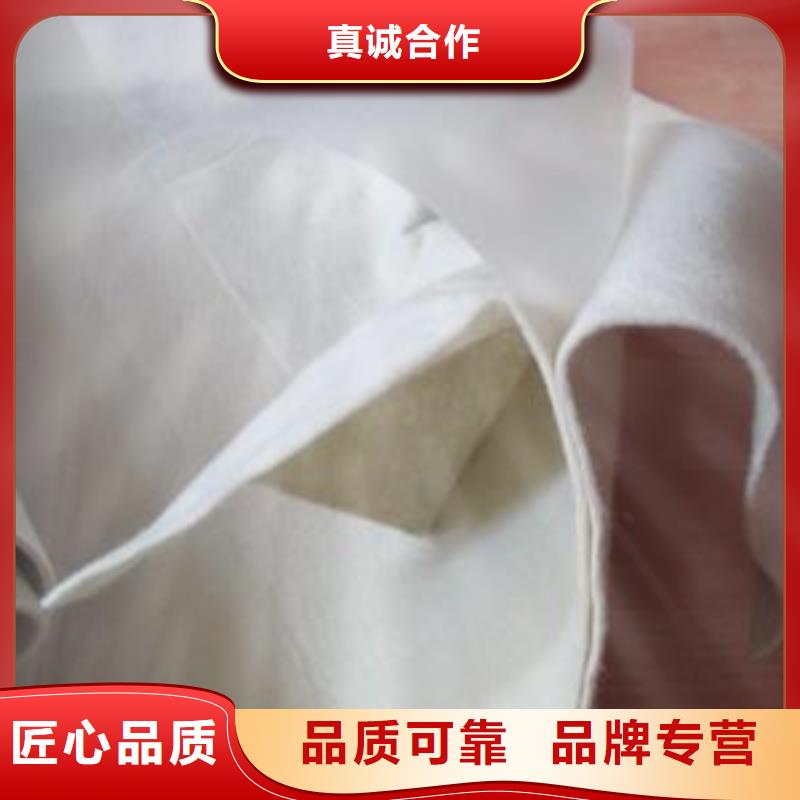 復合土工膜凸結點鋼塑土工格柵應用領域