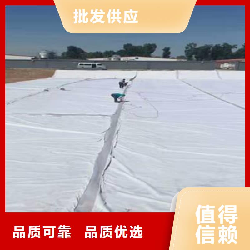 復合土工膜護坡土工網工廠直銷